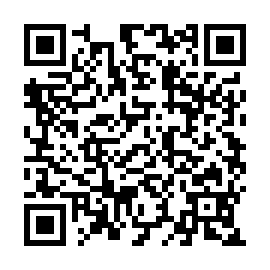 QR b894f8b
