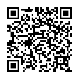 QR b895a31