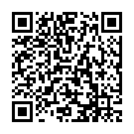 QR b9028e7