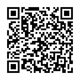 QR b919e4a