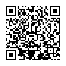 QR b91b216
