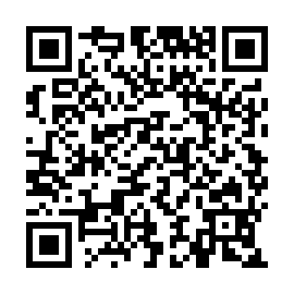 QR b91d787