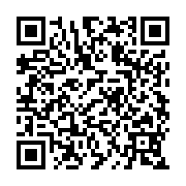 QR b98304b