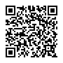 QR b995311