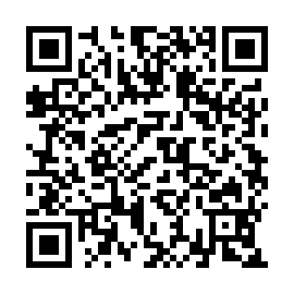QR ba30f8b