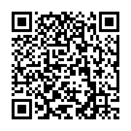 QR bab7413