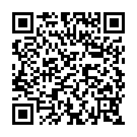 QR bfeff07