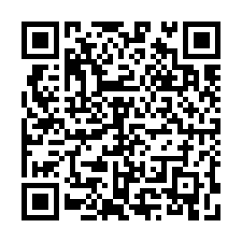 QR c041b33