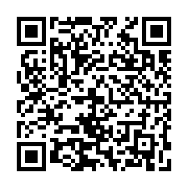 QR c113e41