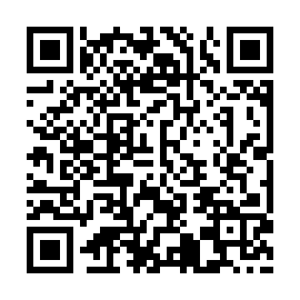 QR c11de53