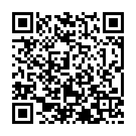 QR c17311b