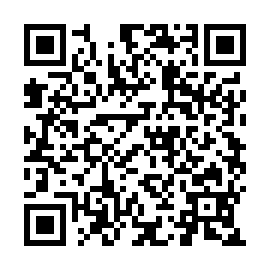 QR c17313b