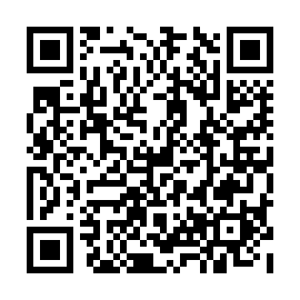 QR c17e38d