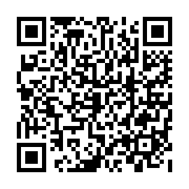 QR c22e4e0
