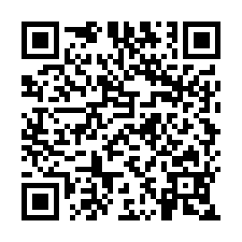 QR c263541