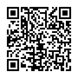 QR c31e86f