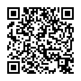 QR c321a29