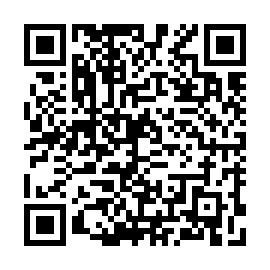QR c33b587