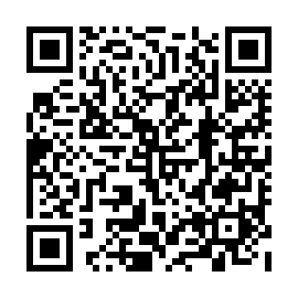 QR c33c6e3