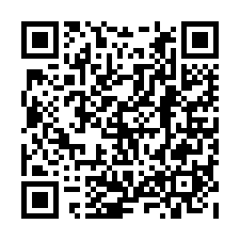 QR c3c3295