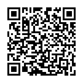 QR c463cb8