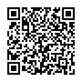 QR c573a3b