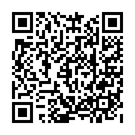 QR c69e395