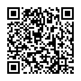 QR c81302b