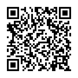 QR c89172b