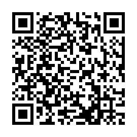 QR c919b99