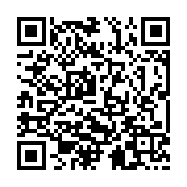 QR c919e7b