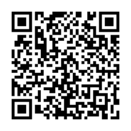 QR c95153b