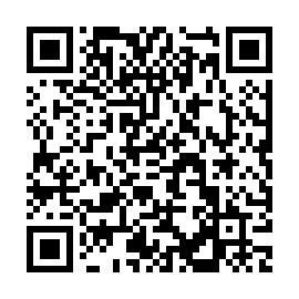 QR c958594