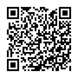 QR c991300
