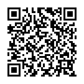 QR c99528b