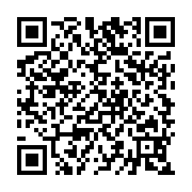 QR ca83295