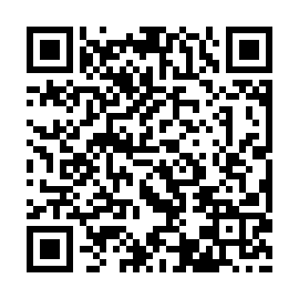 QR d13e217