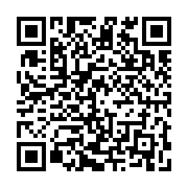 QR d173b28