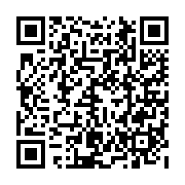 QR d17761e