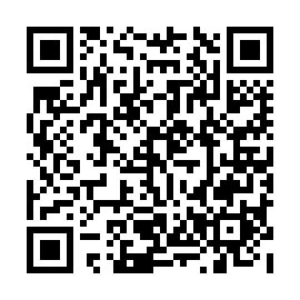 QR d17f29e