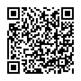 QR d217384