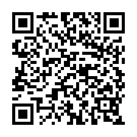 QR d226e17