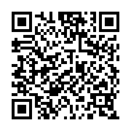 QR d261133
