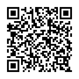 QR d295ebb