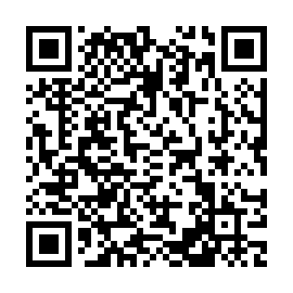QR d299e79