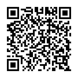 QR d33d95d