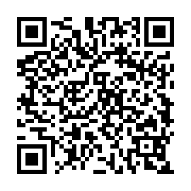QR d381efd