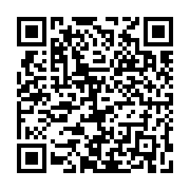 QR d493db3