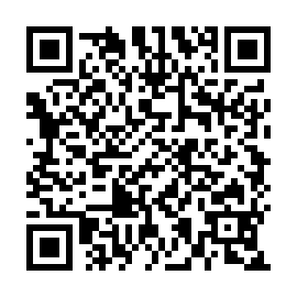 QR d533fe0