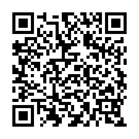 QR d535fe2